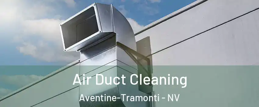 Air Duct Cleaning Aventine-Tramonti - NV