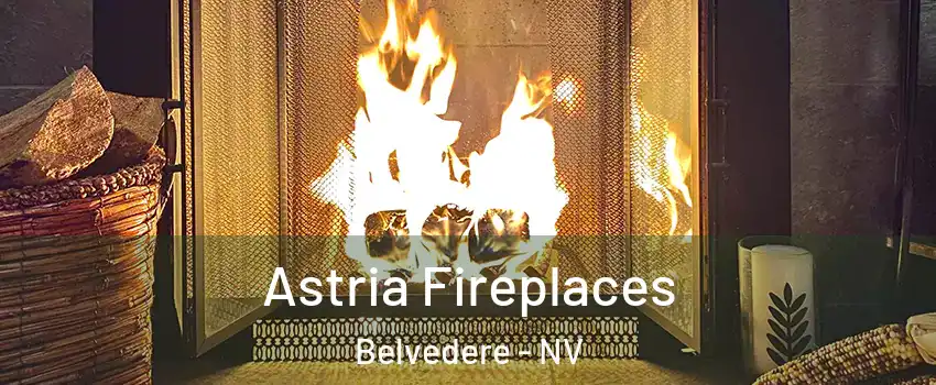 Astria Fireplaces Belvedere - NV
