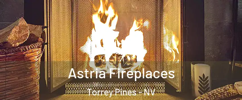 Astria Fireplaces Torrey Pines - NV