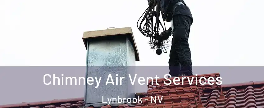Chimney Air Vent Services Lynbrook - NV