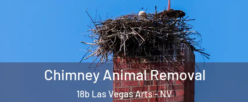 Chimney Animal Removal 18b Las Vegas Arts - NV
