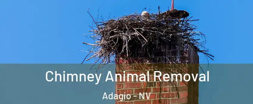Chimney Animal Removal Adagio - NV