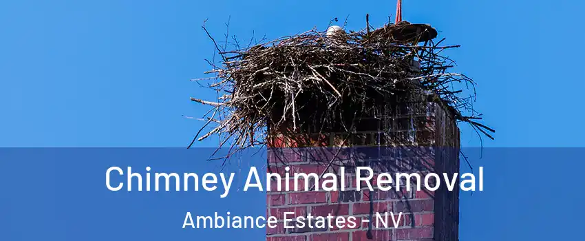 Chimney Animal Removal Ambiance Estates - NV