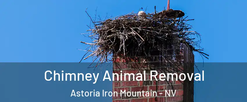 Chimney Animal Removal Astoria Iron Mountain - NV