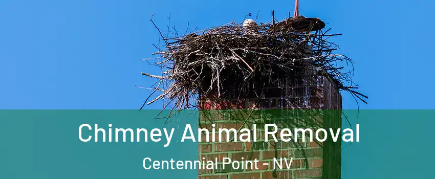 Chimney Animal Removal Centennial Point - NV