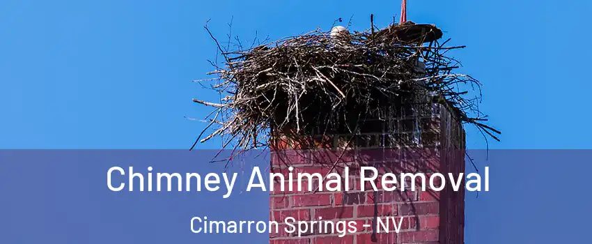 Chimney Animal Removal Cimarron Springs - NV