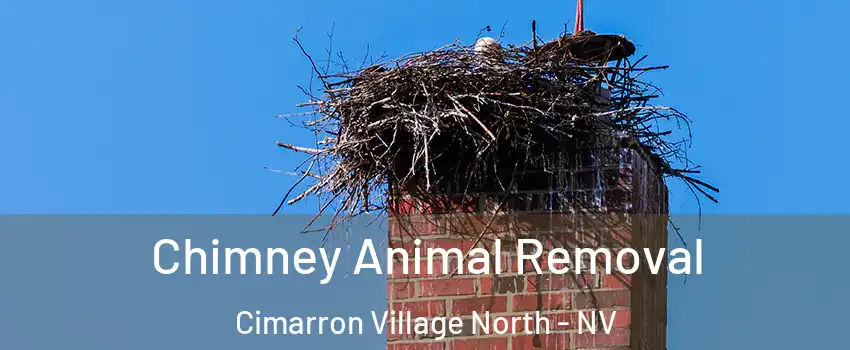 Chimney Animal Removal Cimarron Village North - NV