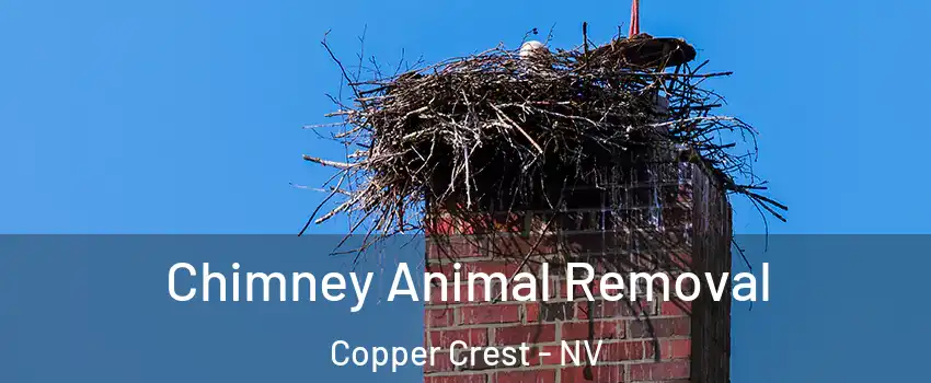 Chimney Animal Removal Copper Crest - NV