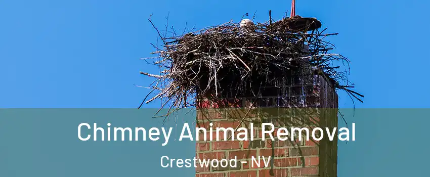 Chimney Animal Removal Crestwood - NV