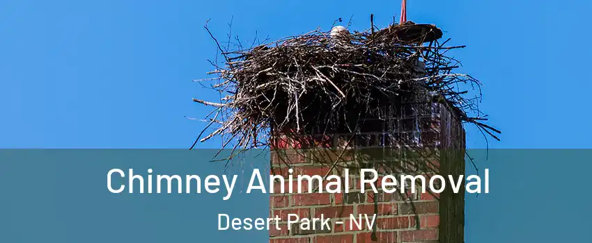 Chimney Animal Removal Desert Park - NV