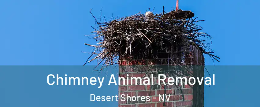 Chimney Animal Removal Desert Shores - NV