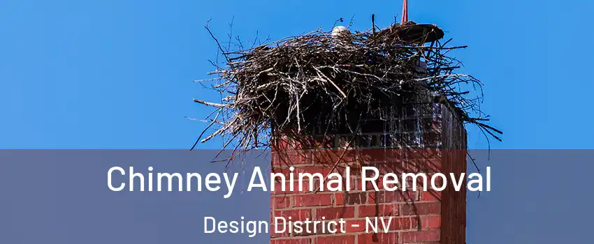 Chimney Animal Removal Design District - NV