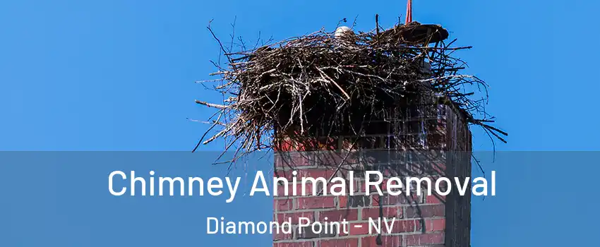 Chimney Animal Removal Diamond Point - NV