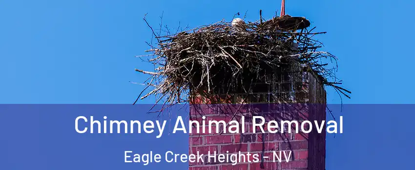 Chimney Animal Removal Eagle Creek Heights - NV