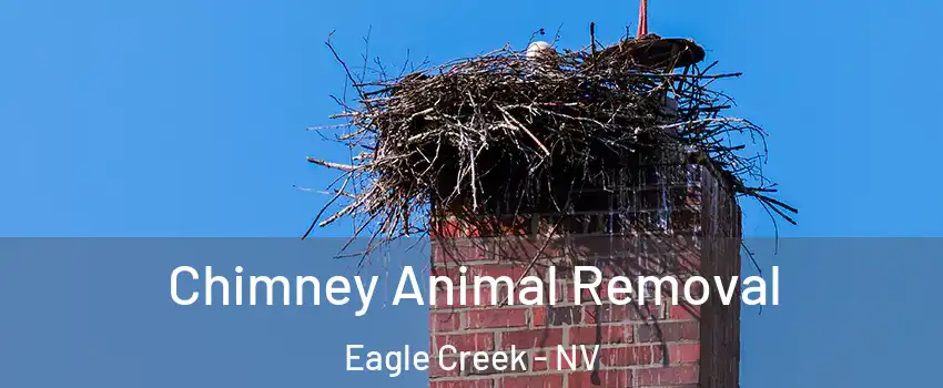 Chimney Animal Removal Eagle Creek - NV
