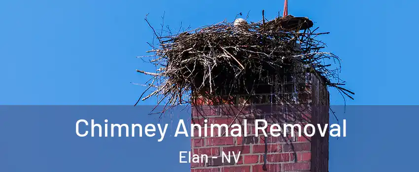Chimney Animal Removal Elan - NV