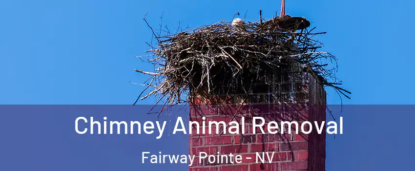 Chimney Animal Removal Fairway Pointe - NV
