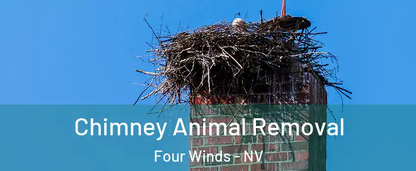 Chimney Animal Removal Four Winds - NV
