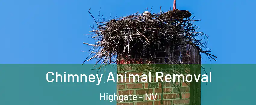Chimney Animal Removal Highgate - NV