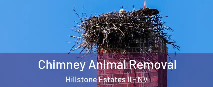 Chimney Animal Removal Hillstone Estates II - NV
