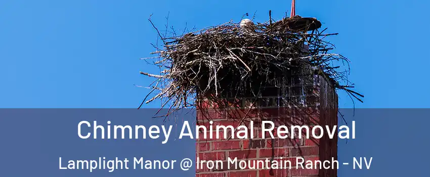 Chimney Animal Removal Lamplight Manor @ Iron Mountain Ranch - NV