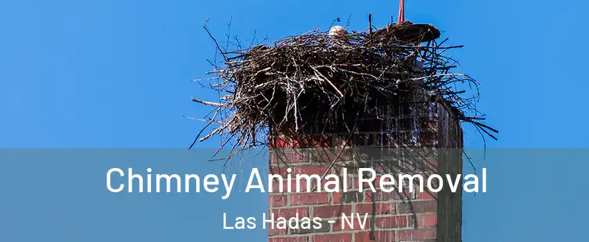 Chimney Animal Removal Las Hadas - NV