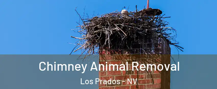 Chimney Animal Removal Los Prados - NV