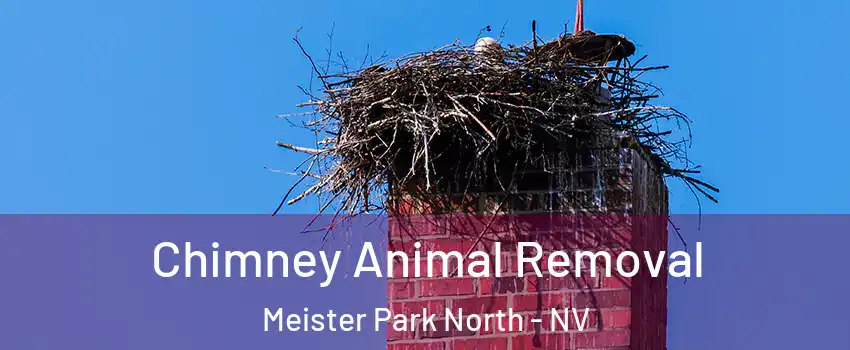 Chimney Animal Removal Meister Park North - NV