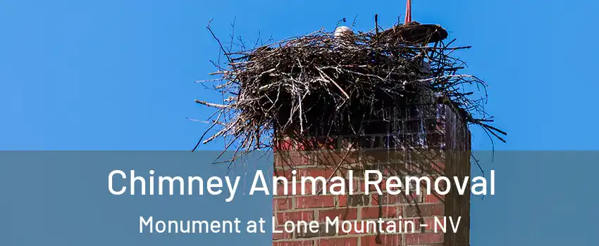 Chimney Animal Removal Monument at Lone Mountain - NV