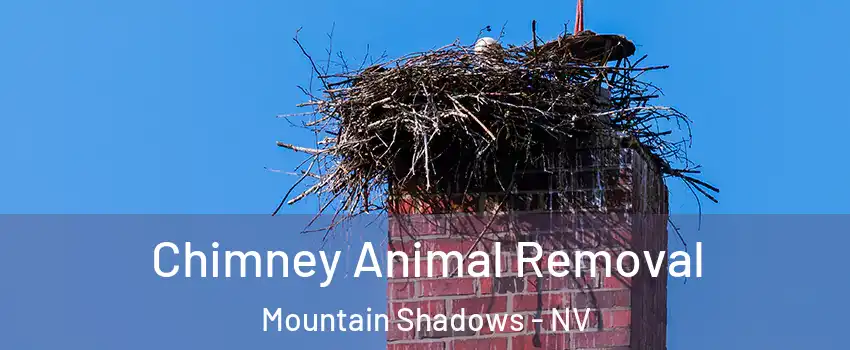 Chimney Animal Removal Mountain Shadows - NV