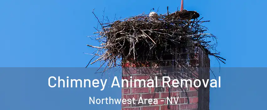 Chimney Animal Removal Northwest Area - NV