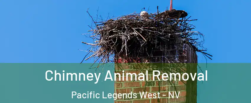 Chimney Animal Removal Pacific Legends West - NV