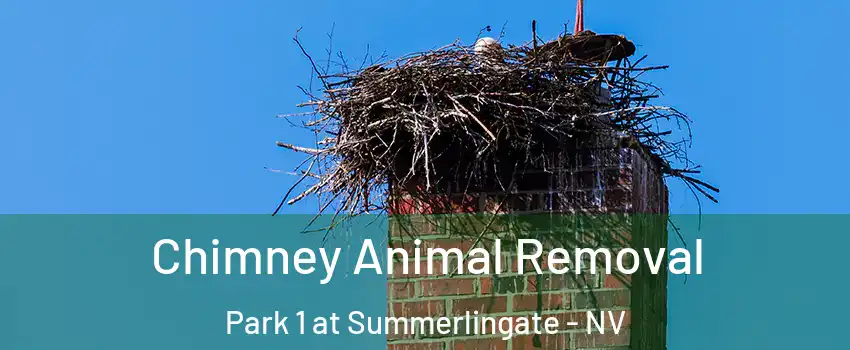 Chimney Animal Removal Park 1 at Summerlingate - NV