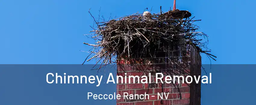 Chimney Animal Removal Peccole Ranch - NV