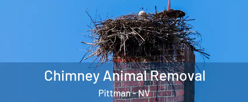 Chimney Animal Removal Pittman - NV
