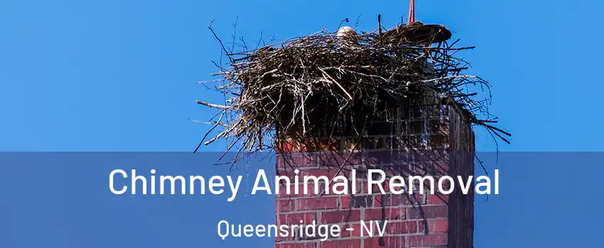 Chimney Animal Removal Queensridge - NV