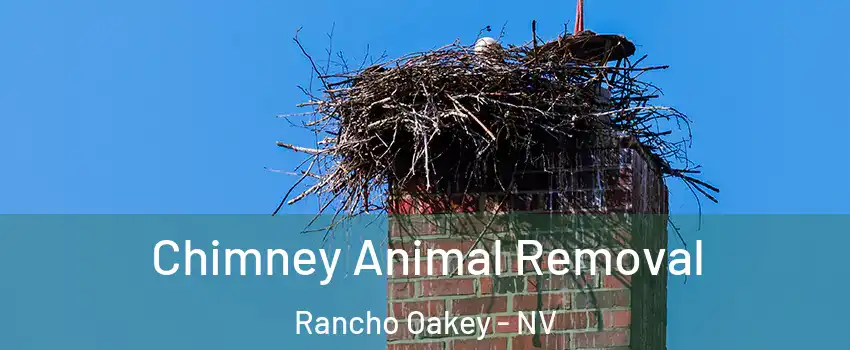 Chimney Animal Removal Rancho Oakey - NV