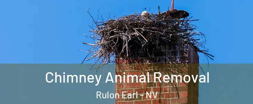 Chimney Animal Removal Rulon Earl - NV