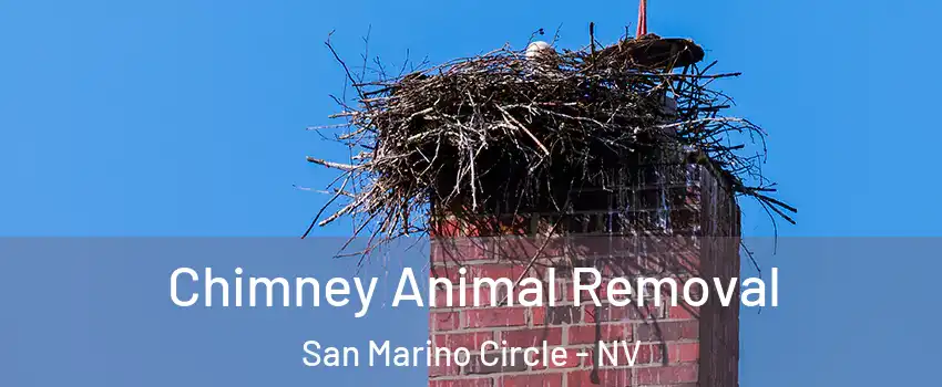 Chimney Animal Removal San Marino Circle - NV