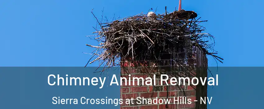 Chimney Animal Removal Sierra Crossings at Shadow Hills - NV