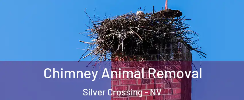 Chimney Animal Removal Silver Crossing - NV