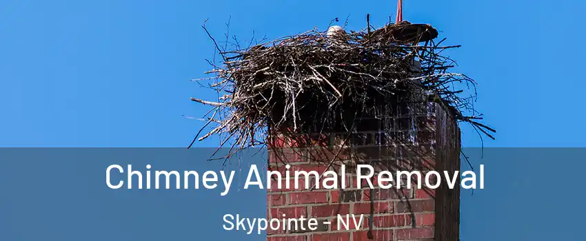Chimney Animal Removal Skypointe - NV