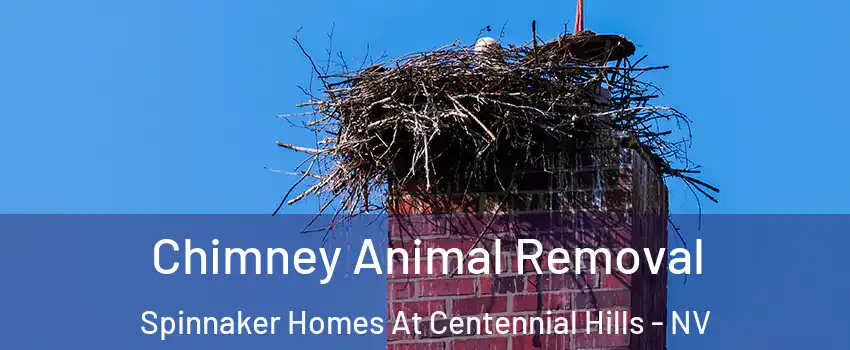 Chimney Animal Removal Spinnaker Homes At Centennial Hills - NV