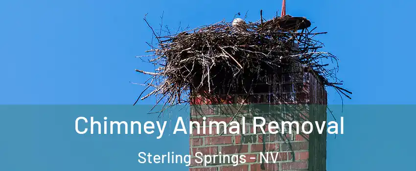 Chimney Animal Removal Sterling Springs - NV