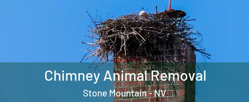 Chimney Animal Removal Stone Mountain - NV