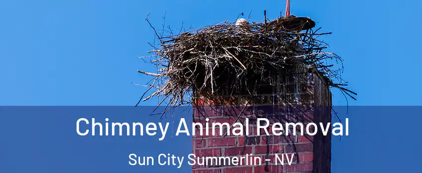 Chimney Animal Removal Sun City Summerlin - NV