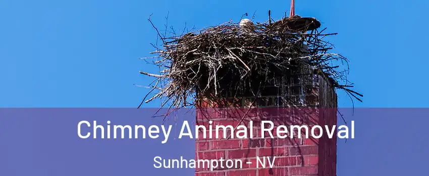 Chimney Animal Removal Sunhampton - NV
