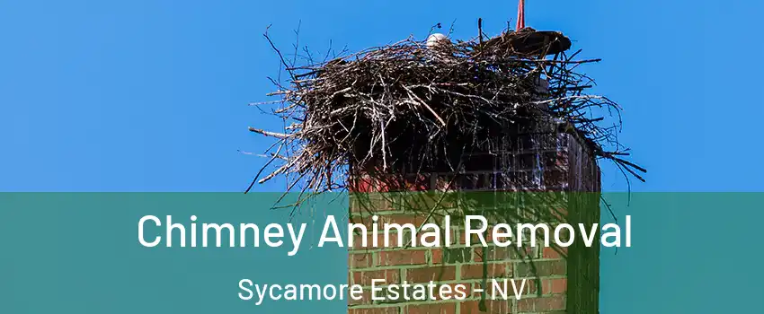 Chimney Animal Removal Sycamore Estates - NV