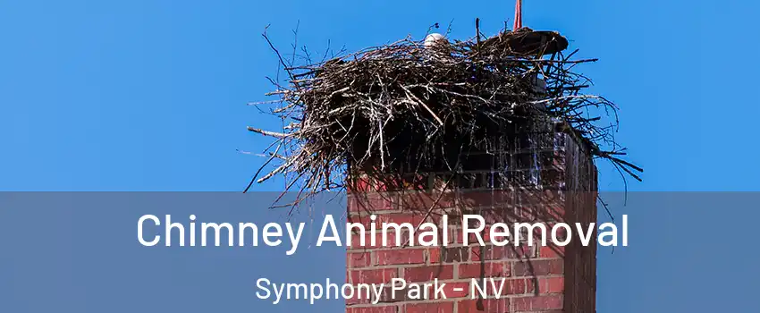 Chimney Animal Removal Symphony Park - NV
