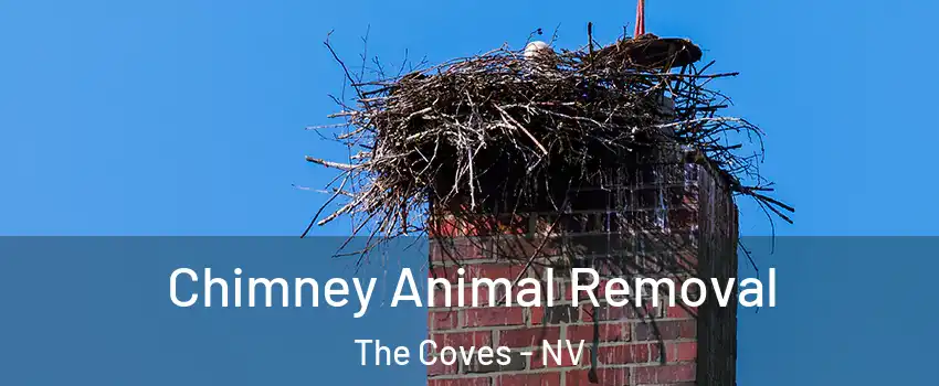 Chimney Animal Removal The Coves - NV